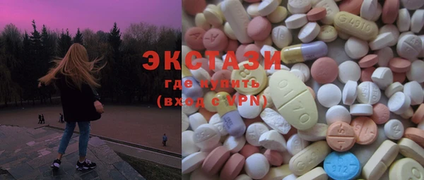 индика Покачи