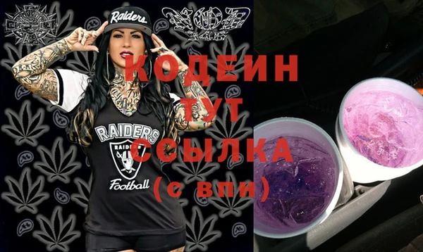 хмурый Пестово