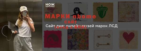 индика Покачи