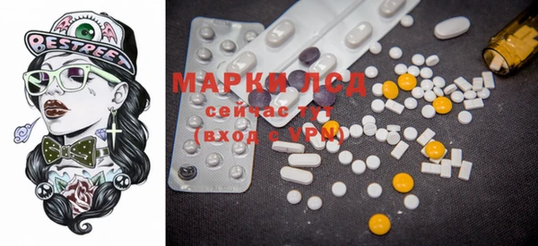 индика Покачи