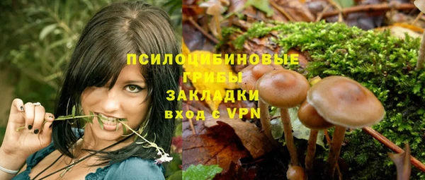 хмурый Пестово