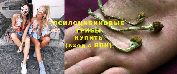 хмурый Пестово