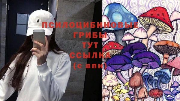 хмурый Пестово