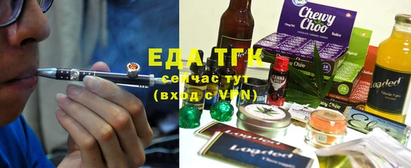 индика Покачи