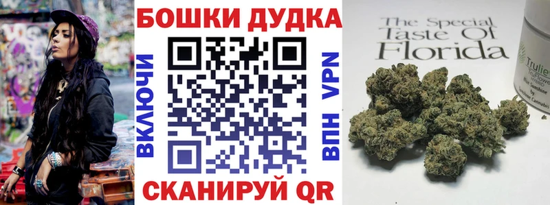 Бошки марихуана Amnesia Киренск